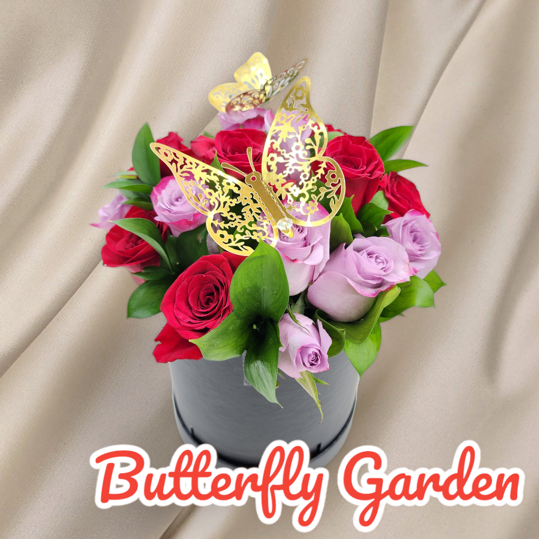 Butterfly Garden